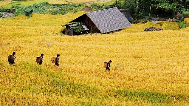 Những hướng phát triển du lịch ở Tây Bắc