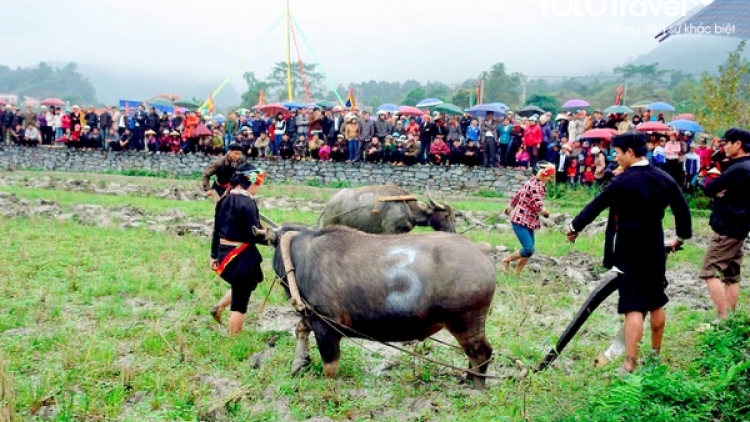 Lễ hội Lồng tồng