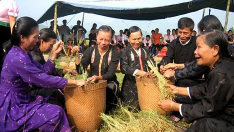 Cốm Nà Pò đặc sản Cao Bằng