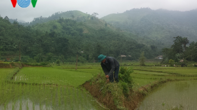 Tây Bắc: Phải chăng học càng cao càng nghèo?