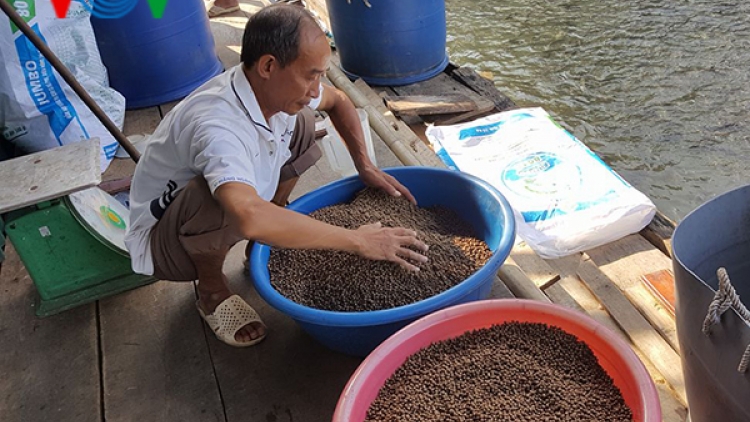 Nông thôn mới ở Yên Nguyên