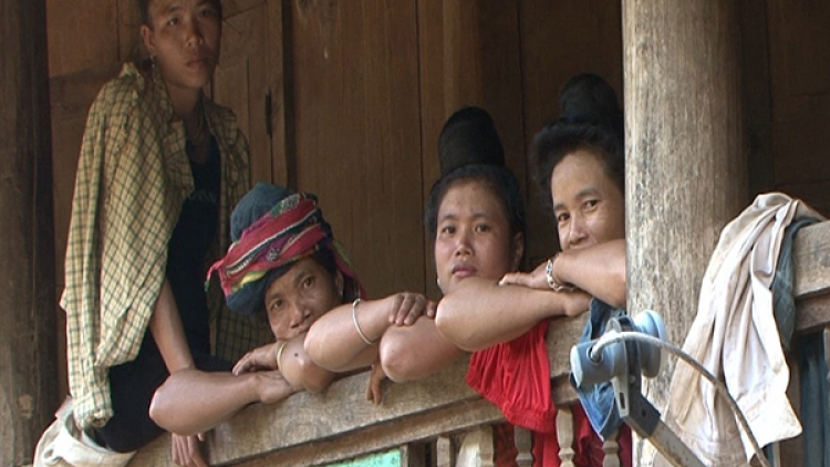 Ngô rớt giá nên dân nghèo thành con nợ