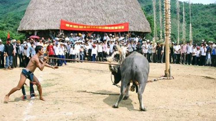 Hẹn Giàng về ăn trâu