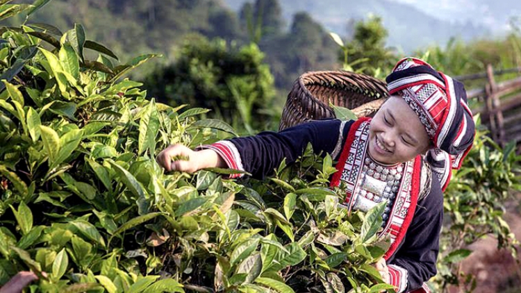 Khởi nghiệp ở vùng đồng bào dân tộc thiểu số cần quan tâm tới điều gì?