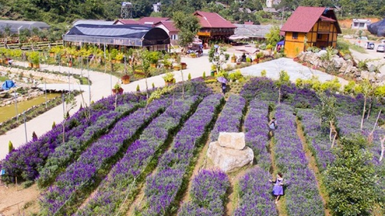 Khởi nghiệp ở vùng dân tộc thiểu số Bắc Hà