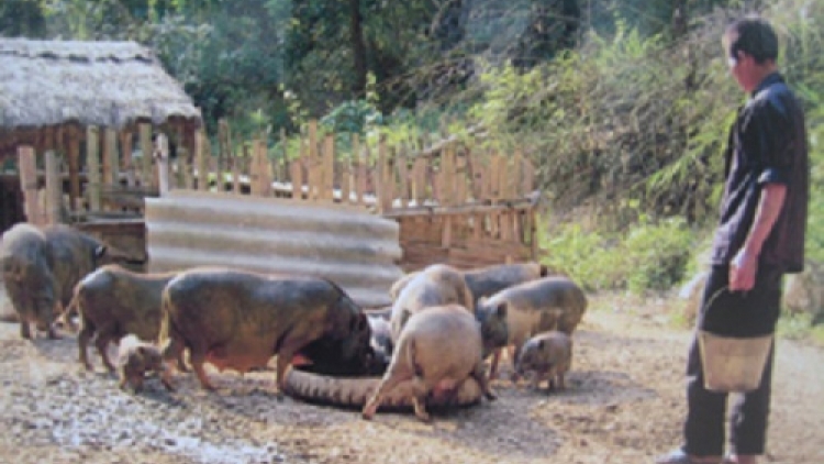 Giải pháp thoát nghèo bền vững cho vùng cao