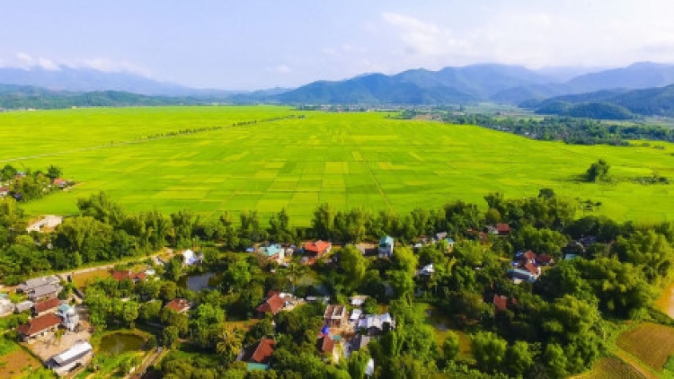 Tri thức canh tác của người Thái đen