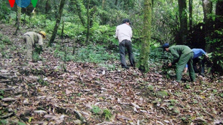 Đảm bảo sinh kế của người dân gắn bó với rừng