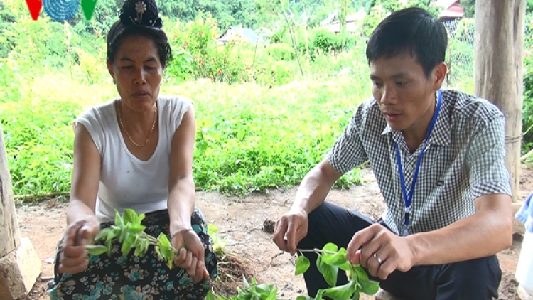 Khó giải bài toán bố trí công việc cho trí thức trẻ tại Điện Biên