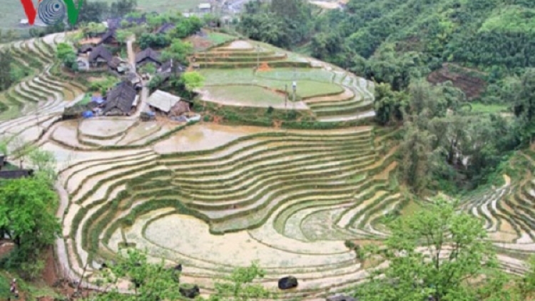 Lào Cai sẽ xử lý việc xâm phạm di tích Ruộng bậc thang Sa Pa