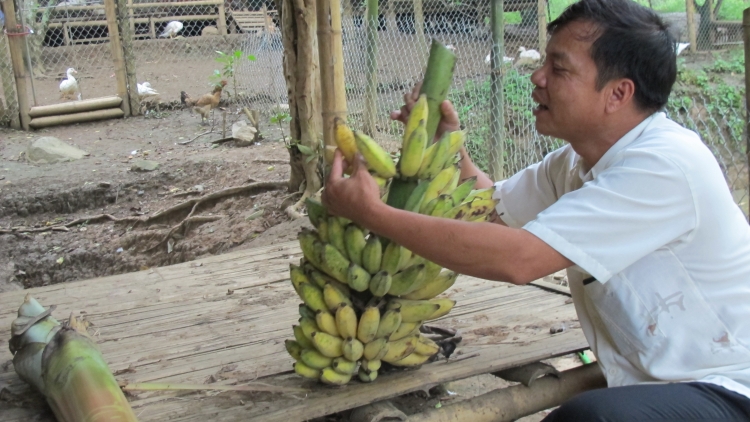 Hành trình xây dựng đảng ở Trung Lý