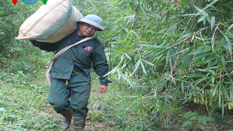 Sơn La chủ động phòng tránh rét cho đàn vật nuôi