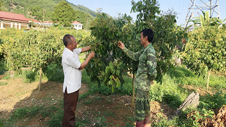 Tiểu khu trưởng được dân tin yêu