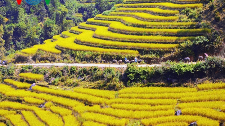 Đánh thức Bình Liêu, “nàng sơn nữ” vùng Đông Bắc