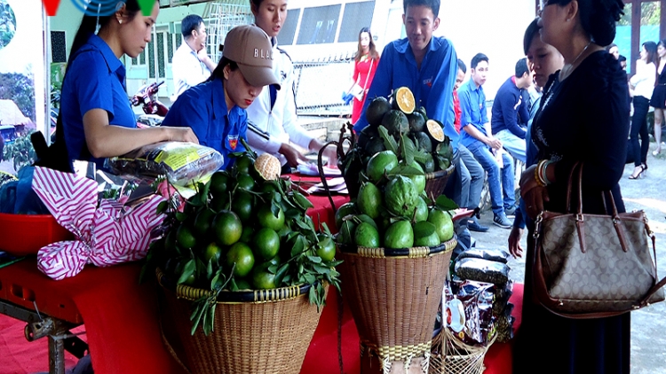 Đắk Lắk tuyên dương điển hình thanh niên làm kinh tế giỏi