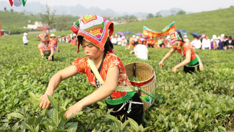 Chương trình 135 phát huy hiệu quả khi được lồng ghép thực hiện