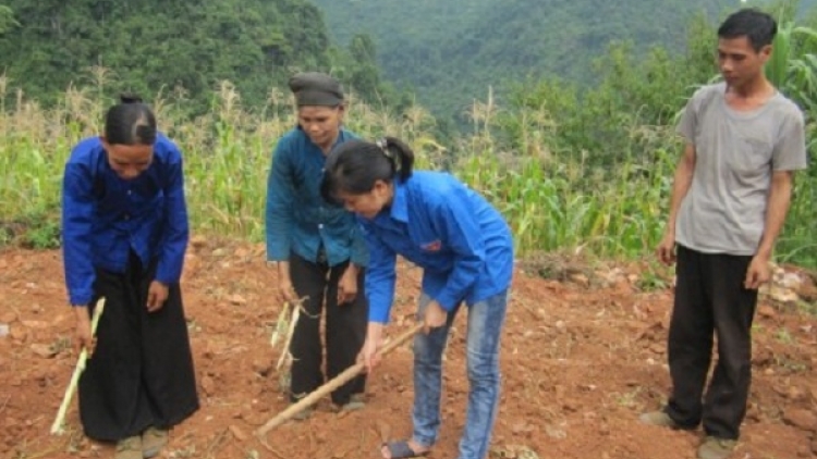 Khởi nghiệp bằng nhiệt huyết và kiến thức