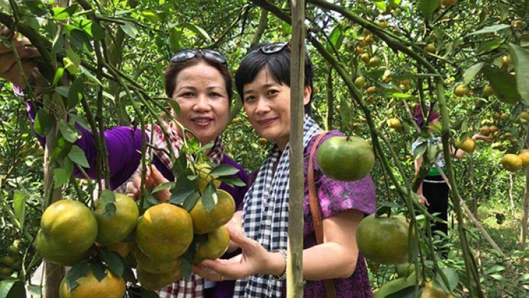 Doanh nghiệp xã hội giúp người dân thoát nghèo