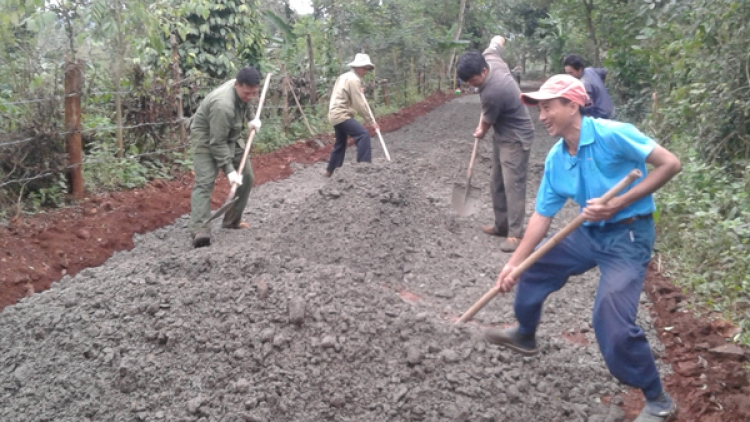 Nông dân Hòa Đông thu nhập 600 triệu đồng một hecta cây trồng