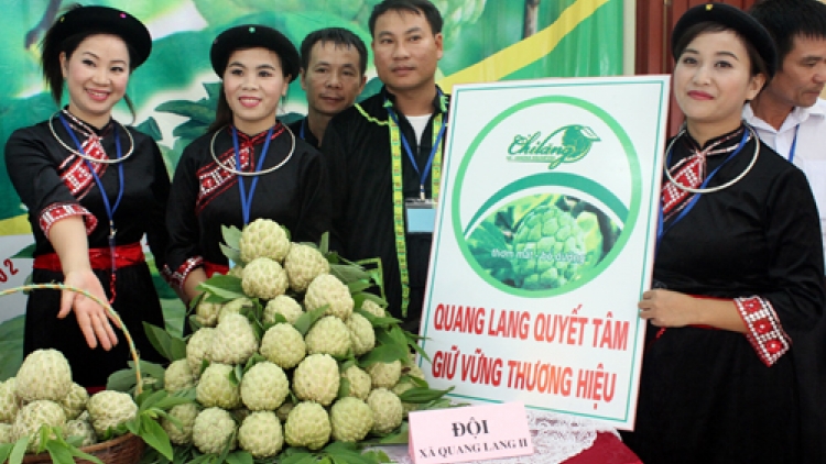 Nỗ lực tái cơ cấu nông nghiệp ở Chi Lăng