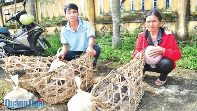 Đầu tư hàng ngàn tỷ đồng, 47% người dân miền núi Quảng Ngãi vẫn chưa thoát nghèo