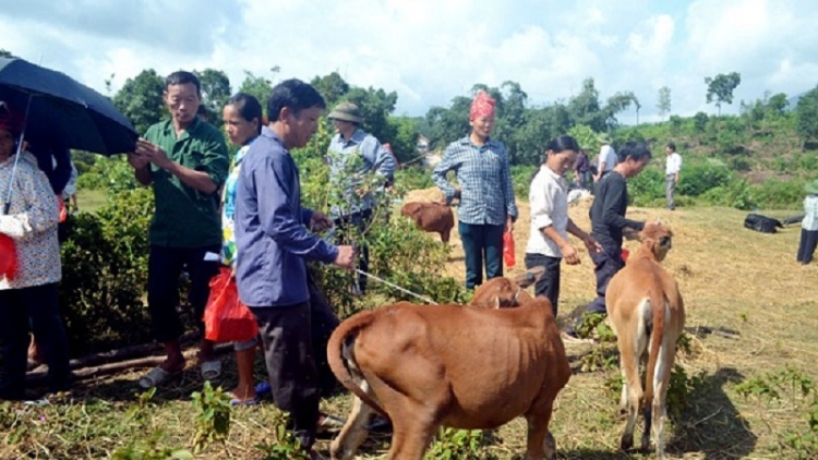 Điện Biên: hơn 100 xã nghèo được giúp đỡ đến năm 2020