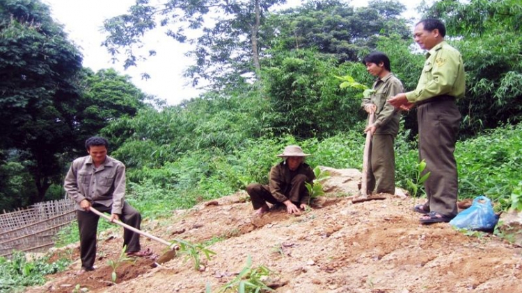 Giao đất rừng cho người dân