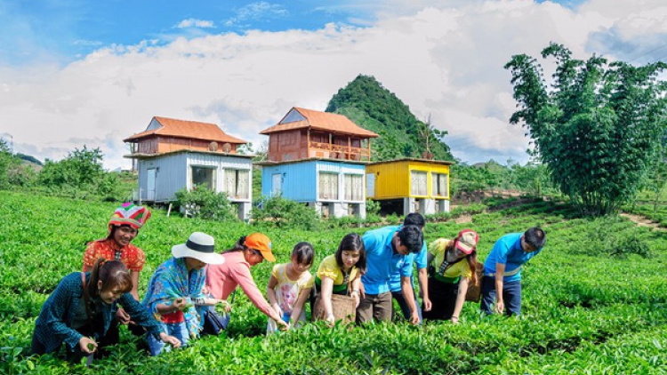 Du lịch trải nghiệm hút khách lên cao nguyên Mộc Châu