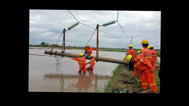 Đắk Lắk: Ngành điện lực cung cấp dịch vụ số hóa cho khách hàng