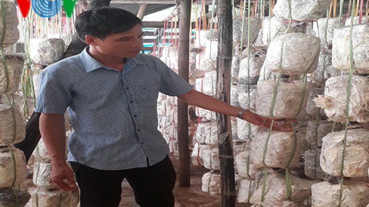 Thạc sỹ trẻ bỏ phố về bản làm giàu từ trồng nấm