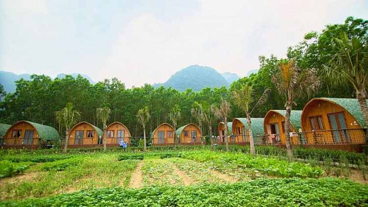 Khởi nghiệp từ Farmstay của cô gái trẻ người Cờ Lao