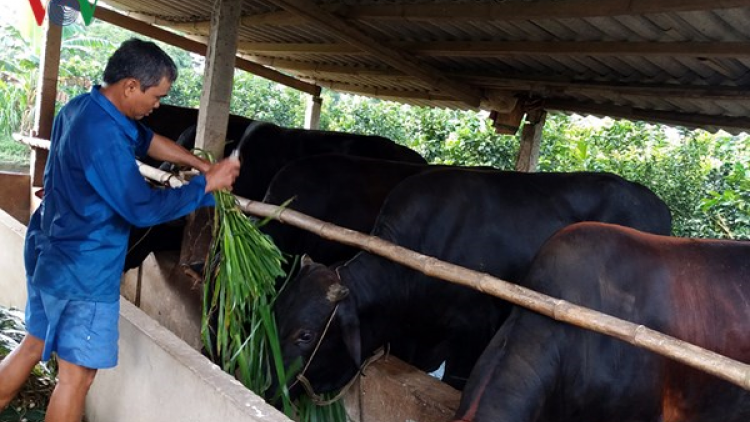 Lồng ghép nguồn lực hiệu quả để phát triển kinh tế