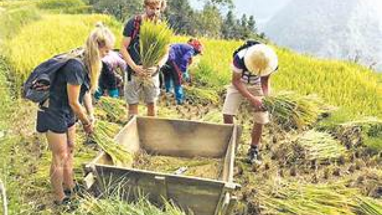 Chàng trai Mông làm du lịch cộng đồng