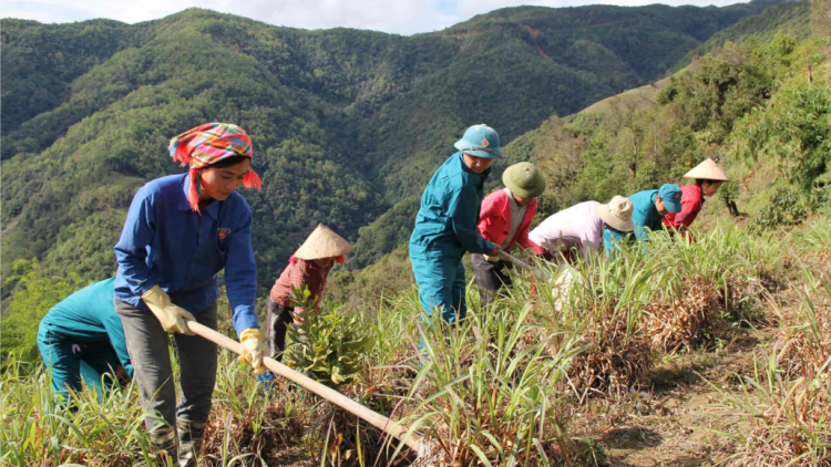 Gần 5 tỷ đồng hỗ trợ nông dân Mường Tè phát triển sản xuất