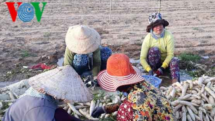 Chàng thanh niên Raglai không cho đất nghỉ