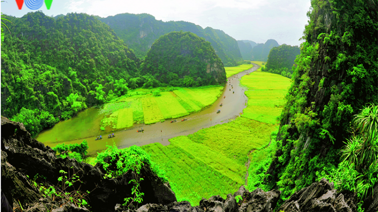 Sắc vàng Tam Cốc - Tràng An gọi mời du khách