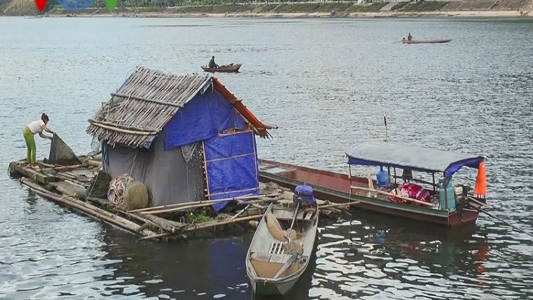 Tìm hướng đi mới phát triển cá lồng trên lòng hồ thủy điện Sơn La