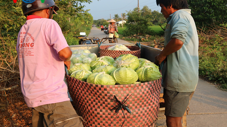 Đường nông thôn thông suốt tạo lực đẩy phát triển kinh tế