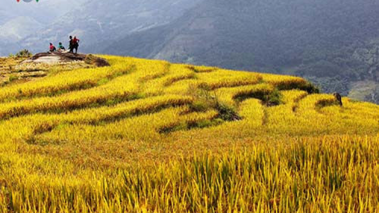 Lai Châu: thu hút khách du lịch