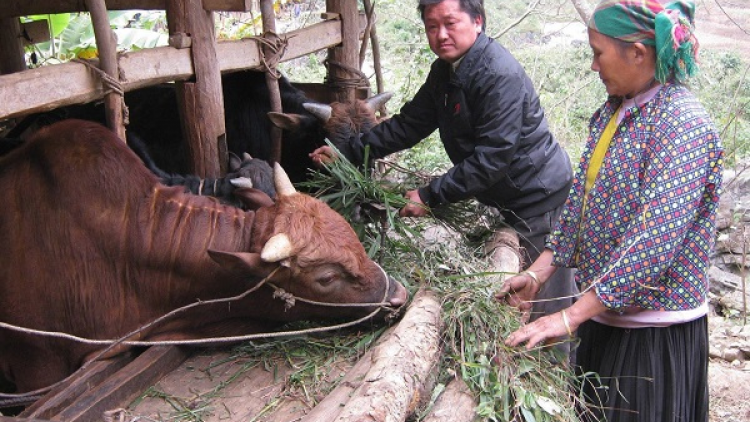 Nỗ lực giảm nghèo vùng đồng bào dân tộc thiểu số