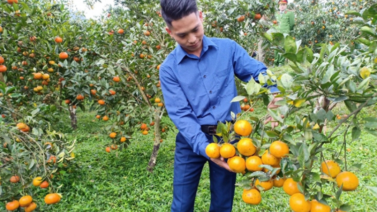Hiệu quả của nguồn vốn vay tín dụng