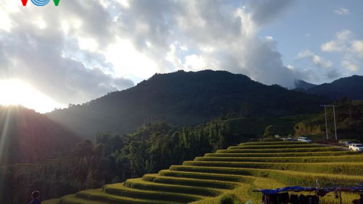 Qua miền di sản ruộng bậc thang Hoàng Su Phì