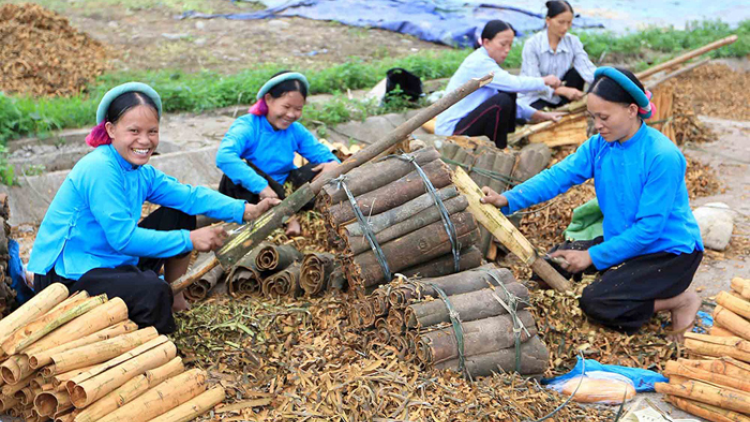 Nữ doanh nhân dân tộc thiểu số góp phần to lớn trong phát triển kinh té xã hội vùng dân tộc