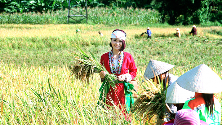 Cô sơn nữ người Thổ khởi nghiệp từ vườn rừng quê hương