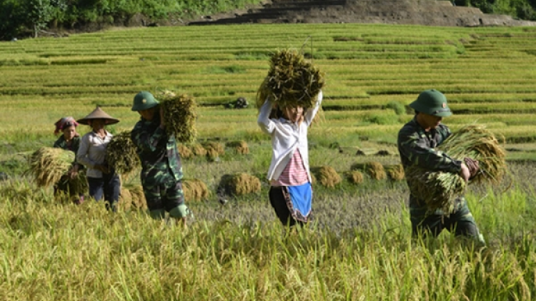Tuổi trẻ trên biên giới