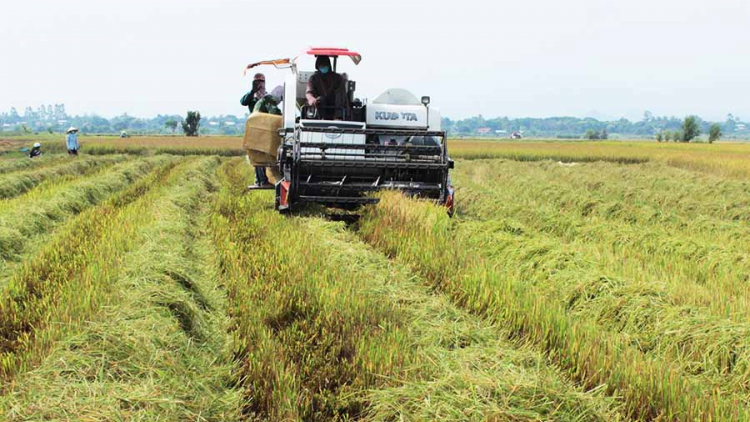 Cơ giới hóa sản xuất vùng dân tộc ở Gia Lai