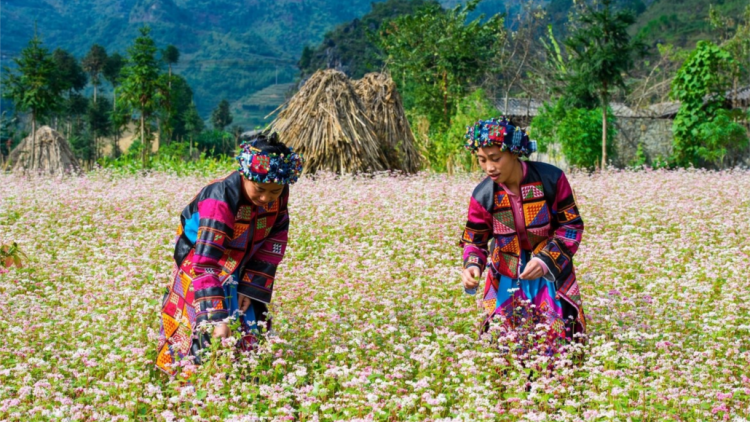 Phòng chống dịch Covid 19- Vẫn phát triển đời sống văn hóa nghệ thuật vùng biên giới