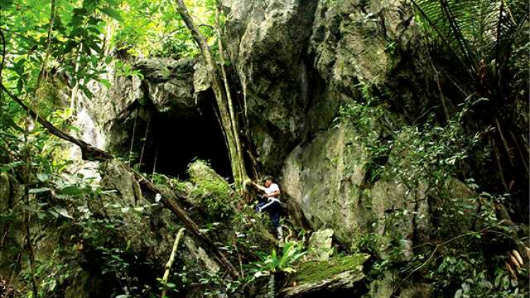 Ký bí Hang Dơi