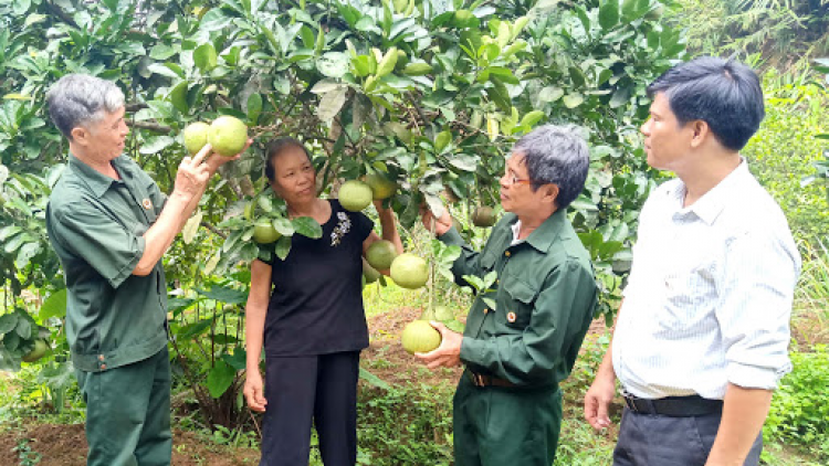 Hiệu quả mô hình giảm nghèo có địa chỉ ở Lạng Sơn