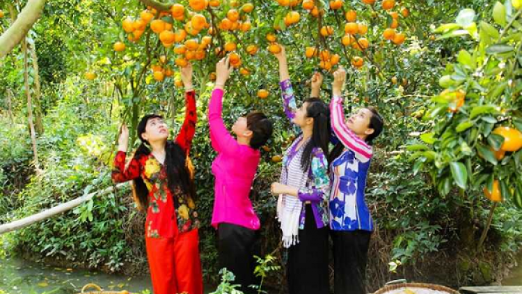 Khám phá Cù lao Tân Quy